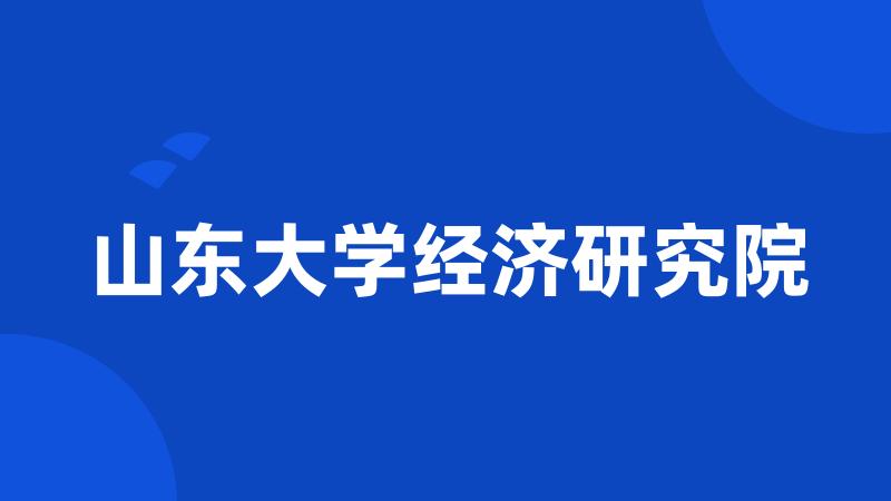 山东大学经济研究院