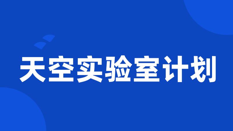 天空实验室计划