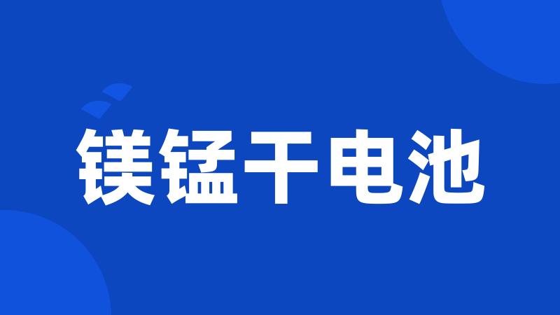 镁锰干电池