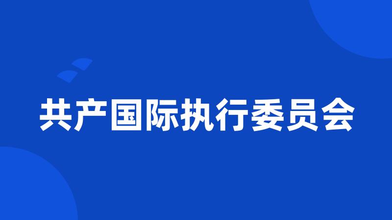 共产国际执行委员会