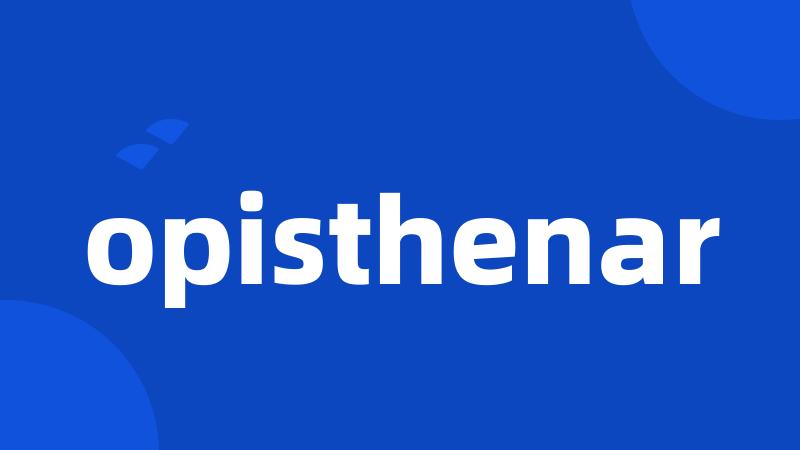 opisthenar