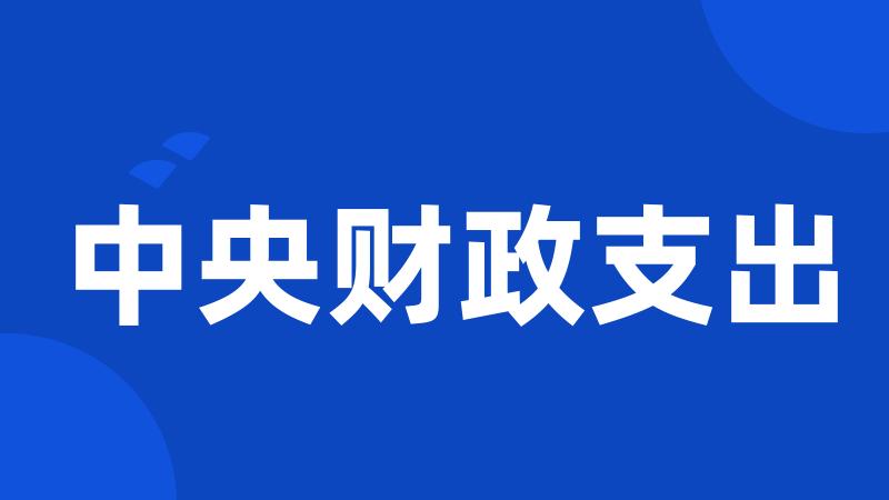 中央财政支出