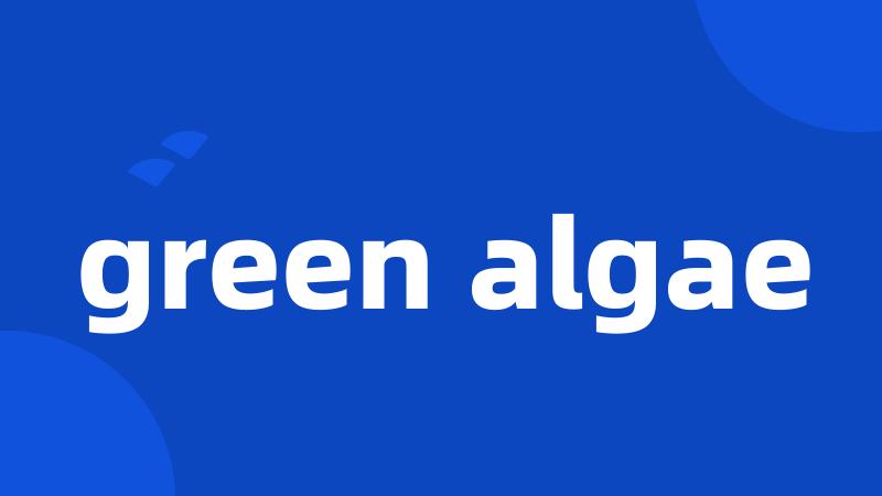 green algae