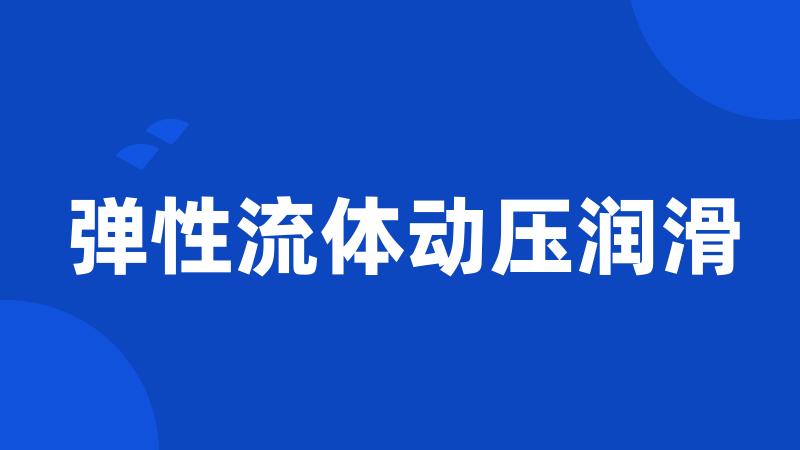 弹性流体动压润滑