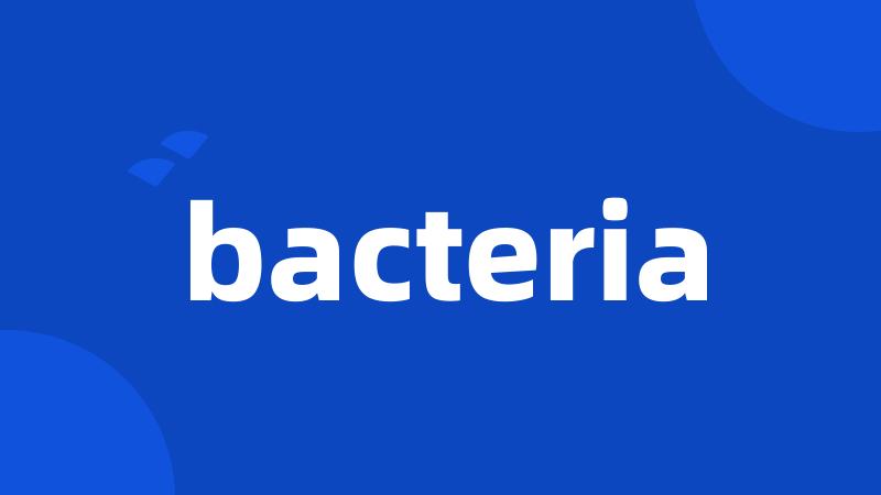 bacteria