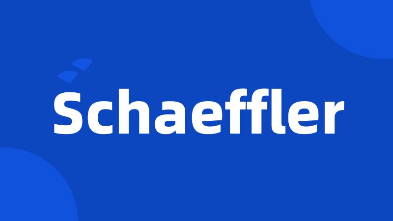 Schaeffler