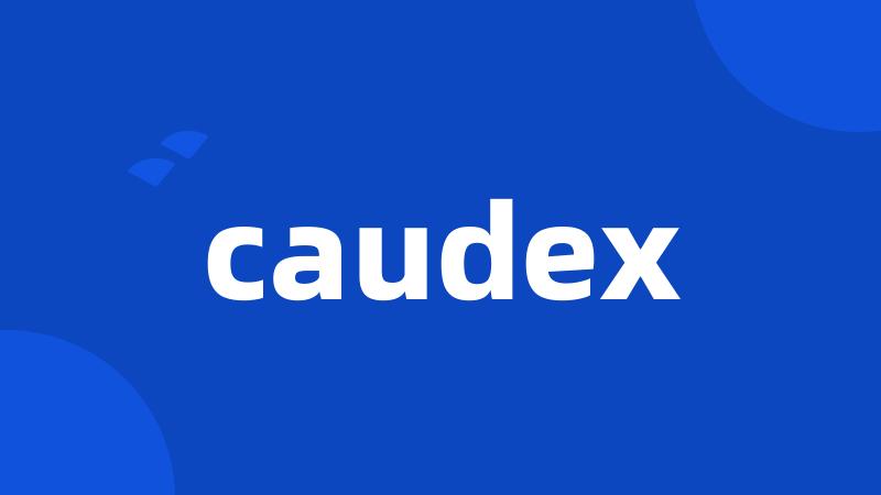 caudex