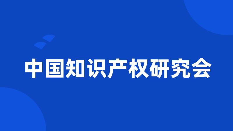 中国知识产权研究会