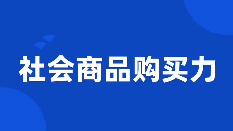 社会商品购买力