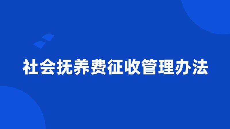 社会抚养费征收管理办法