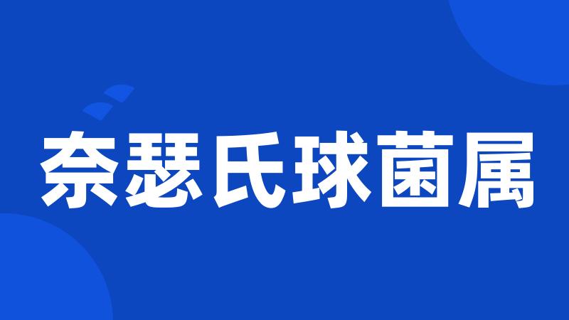 奈瑟氏球菌属