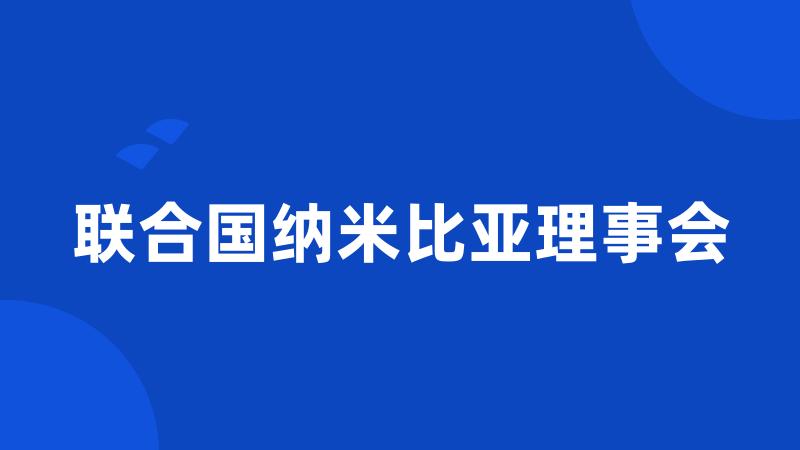 联合国纳米比亚理事会