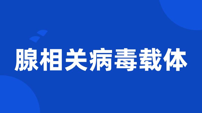 腺相关病毒载体