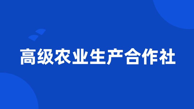 高级农业生产合作社