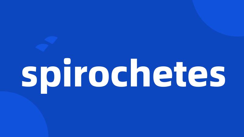 spirochetes