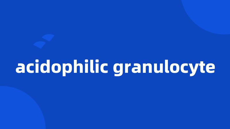 acidophilic granulocyte