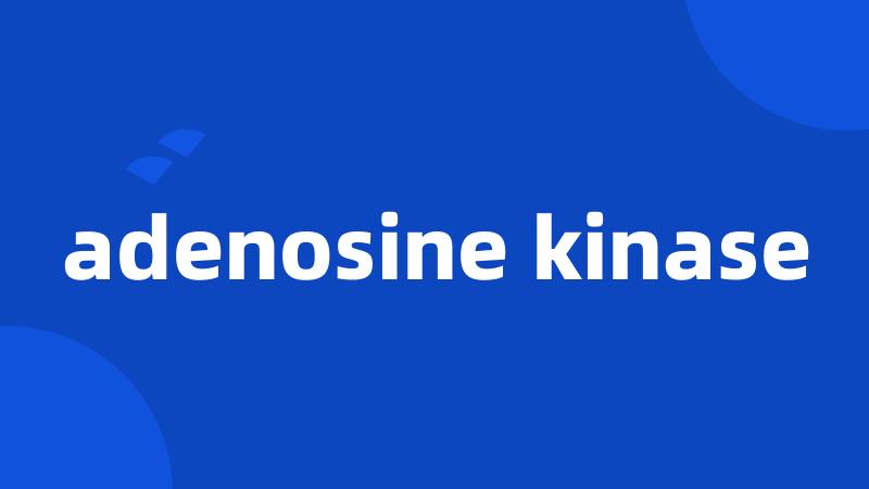 adenosine kinase