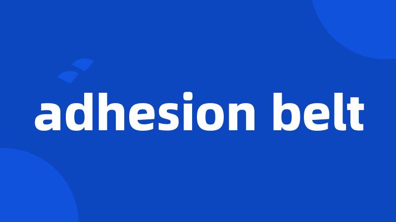 adhesion belt