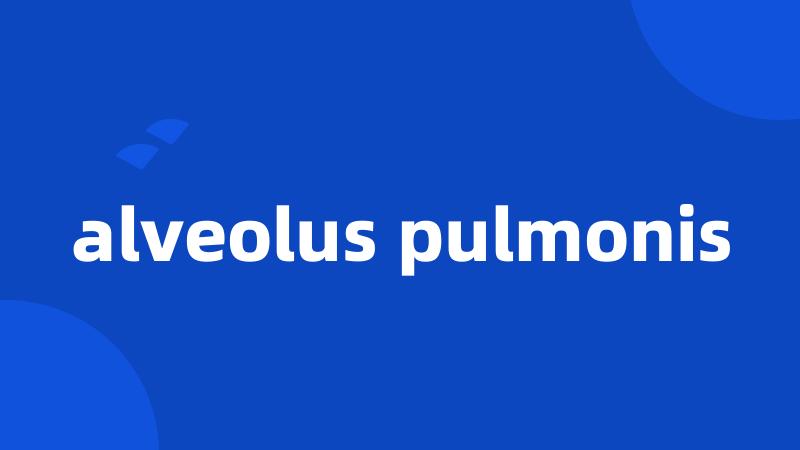 alveolus pulmonis