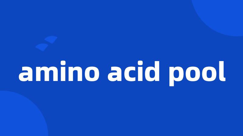 amino acid pool