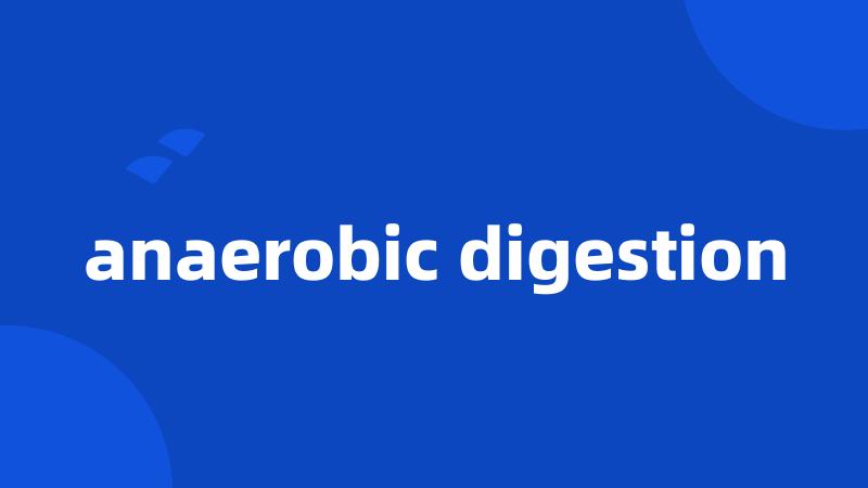 anaerobic digestion