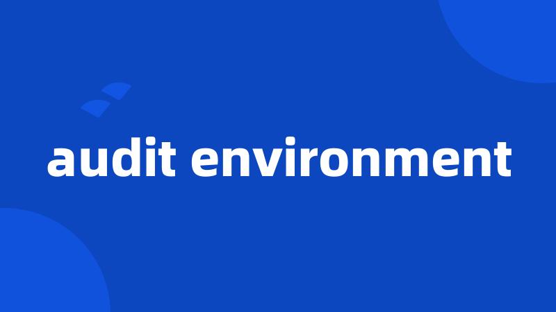 audit environment