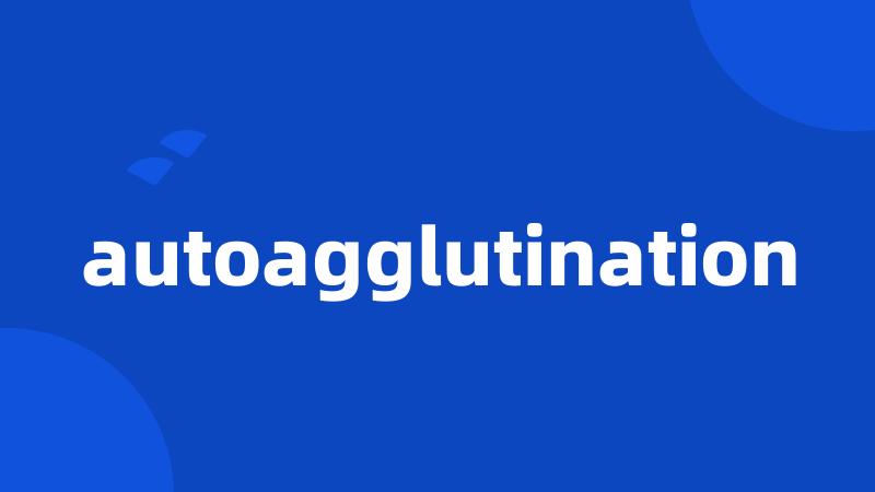 autoagglutination