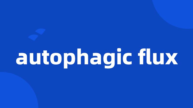 autophagic flux