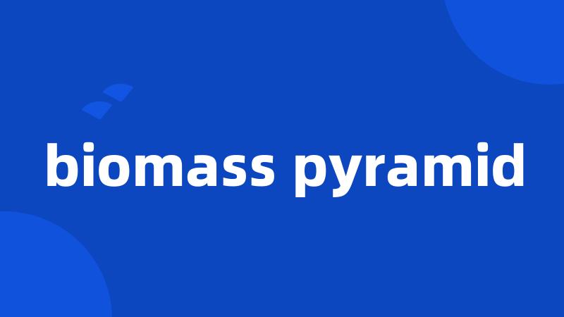 biomass pyramid