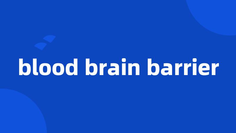 blood brain barrier