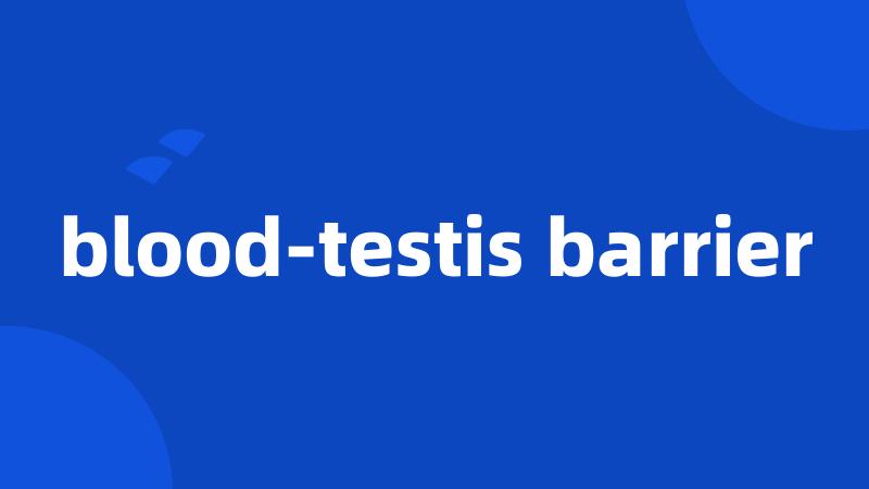 blood-testis barrier