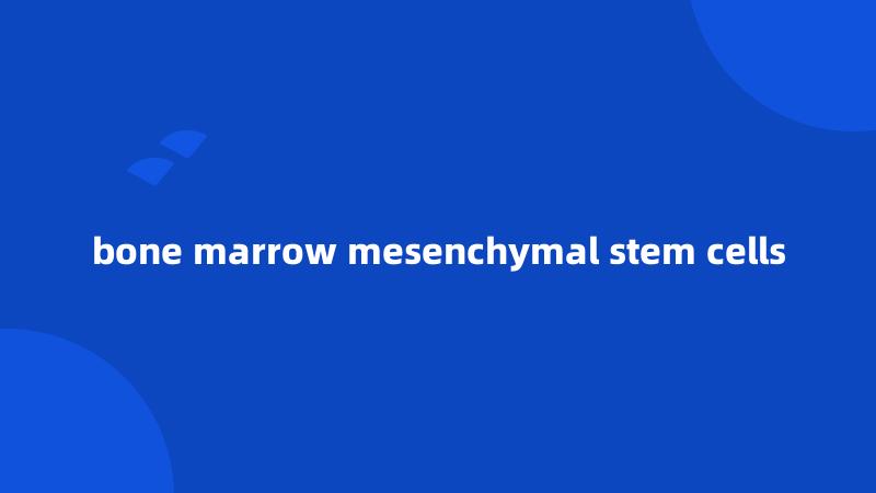 bone marrow mesenchymal stem cells