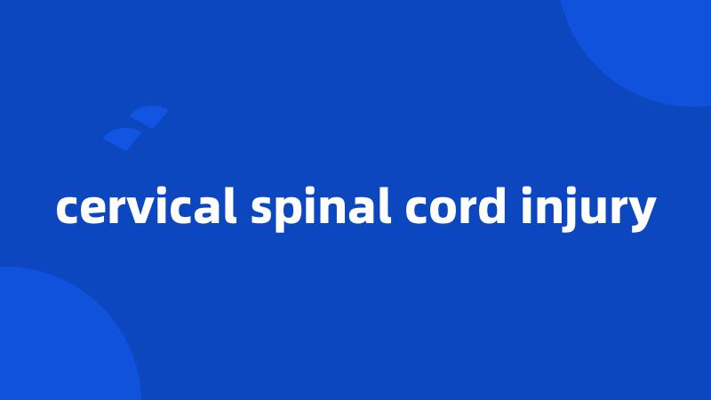 cervical spinal cord injury