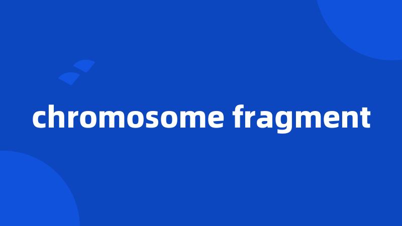 chromosome fragment