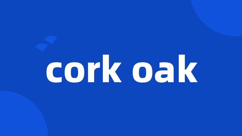 cork oak