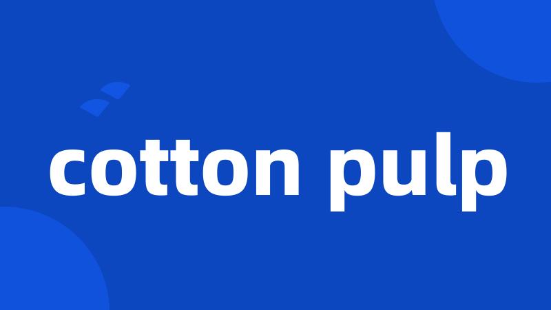 cotton pulp