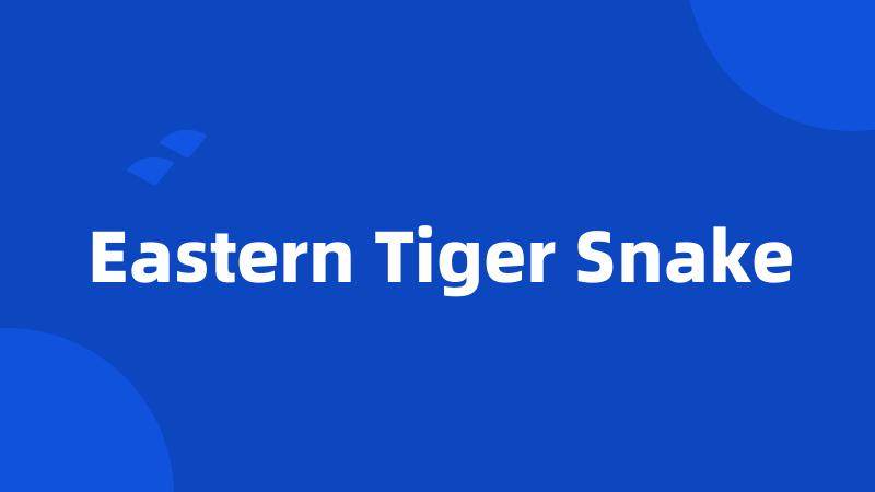 Eastern Tiger Snake