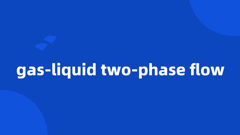 gas-liquid two-phase flow