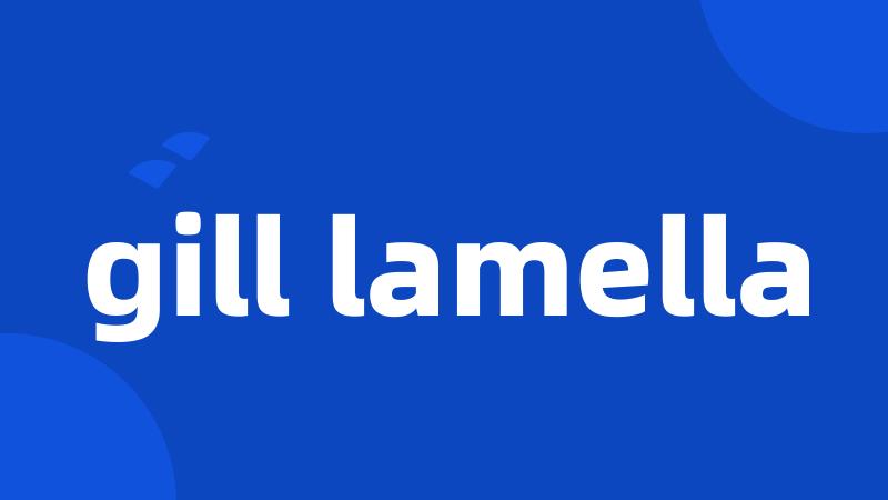 gill lamella