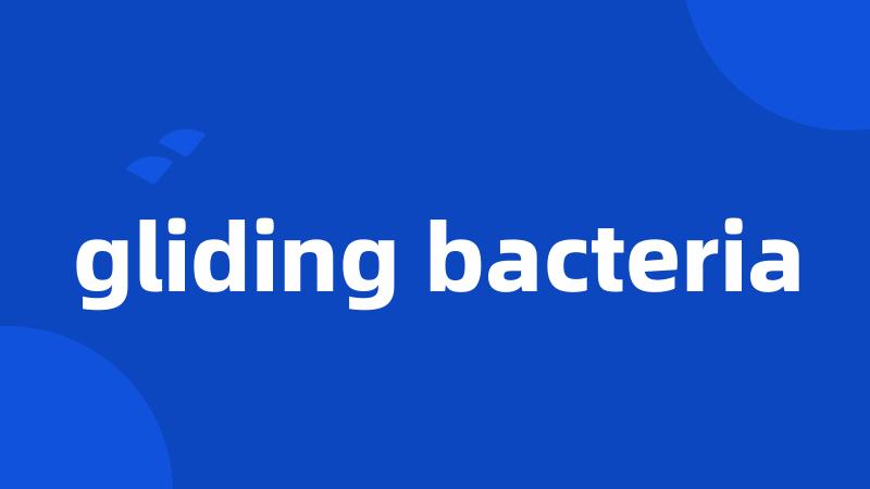 gliding bacteria