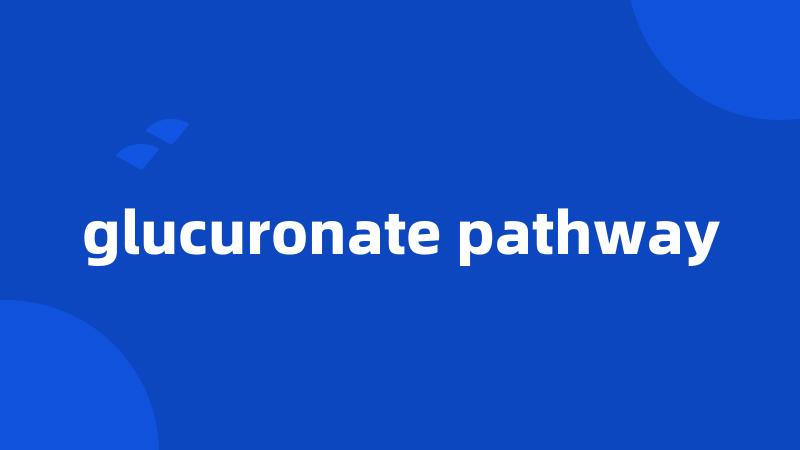 glucuronate pathway