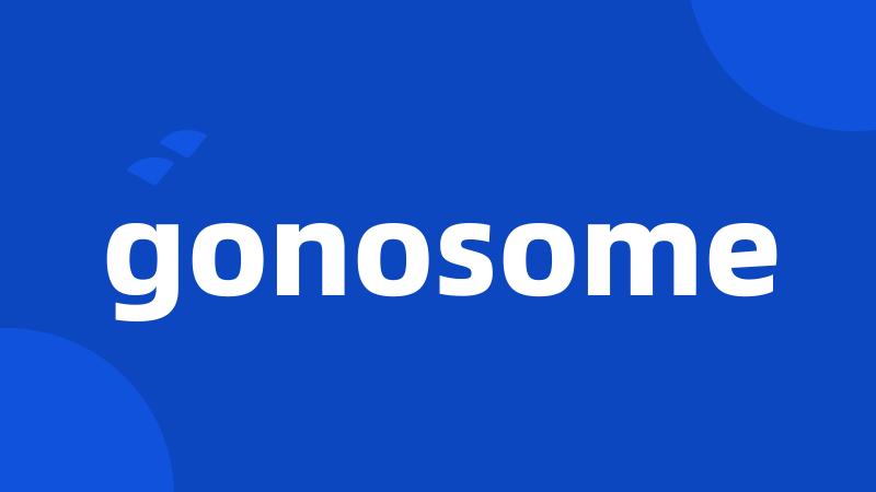 gonosome