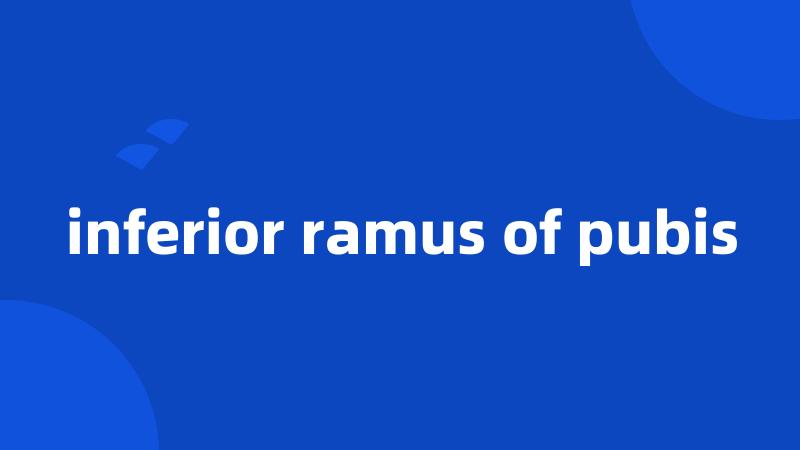 inferior ramus of pubis