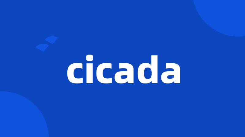 cicada