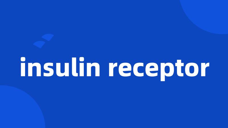 insulin receptor