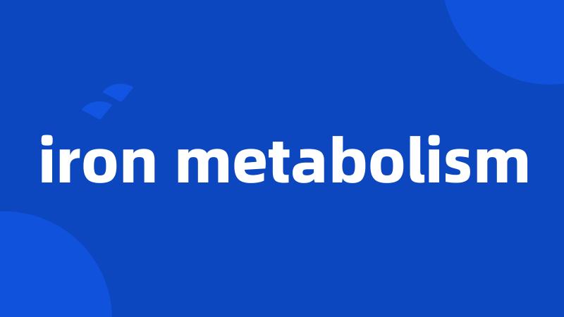 iron metabolism