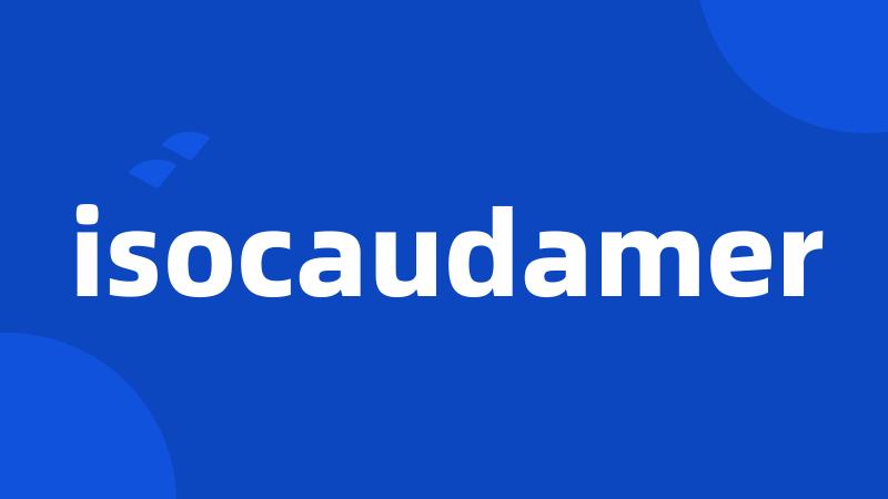 isocaudamer