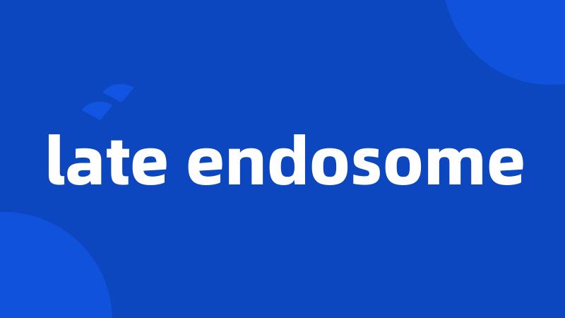 late endosome