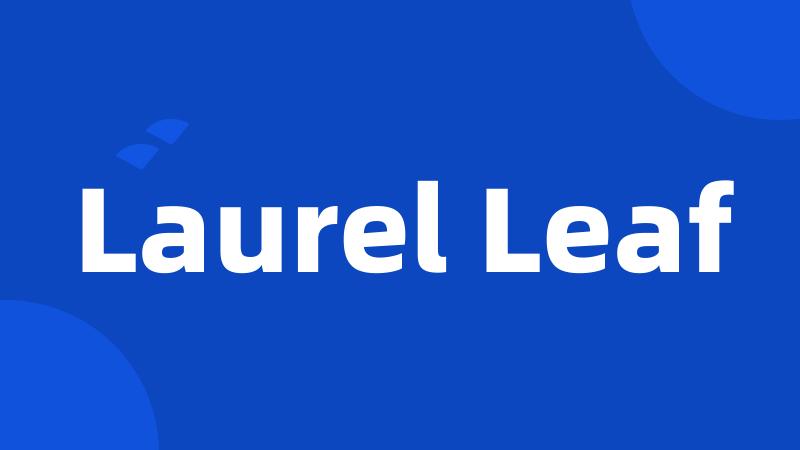 Laurel Leaf