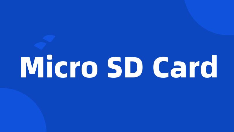 Micro SD Card